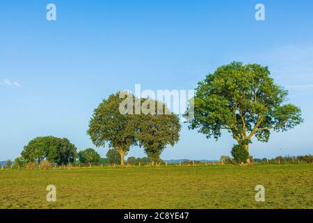 Land van Cuijk, il paesaggio agricolo nel piccolo villaggio Cuijk e sul fiume Meuse, Paesi Bassi sotto un cielo blu. Famoso punto di riferimento turistico fo Foto Stock