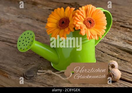 Auguri di compleanno con fiori e lettere (tedesco per buon compleanno) Foto Stock