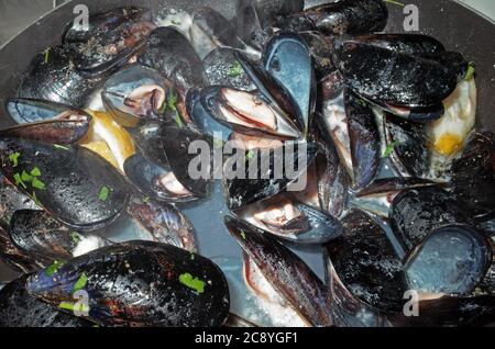 Cozze marinara cottura Foto Stock