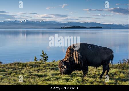 Il parco nazionale di Yellowstone è il primo parco nazionale stabilito negli Stati Uniti. Foto Stock