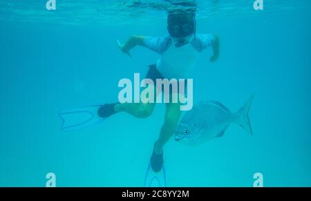 giovane ragazzo snorkeling in tropicale subacqueo con pesci. Acqua blu chiara Foto Stock