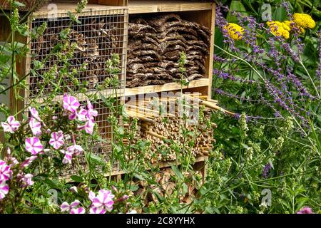 Bug rifugio, bug hotel che incoraggia la fauna selvatica in giardino perenni induriti fiori Foto Stock