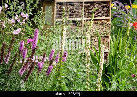 Insetto ricovero giardino insetto hotel incoraggiare la fauna selvatica nel giardino Foto Stock