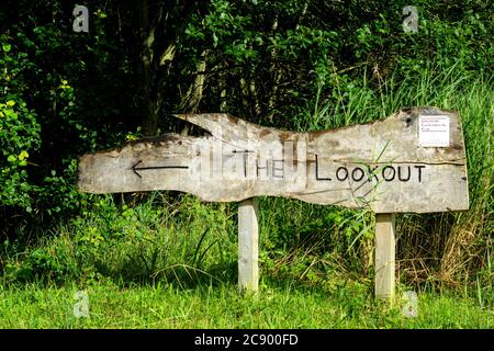 Una posizione splendida che ha una passeggiata nella natura intorno alle paludi, alla foresta e al fiume. Un ambiente ben mantenuto con un bellissimo paesaggio. Una natura Foto Stock