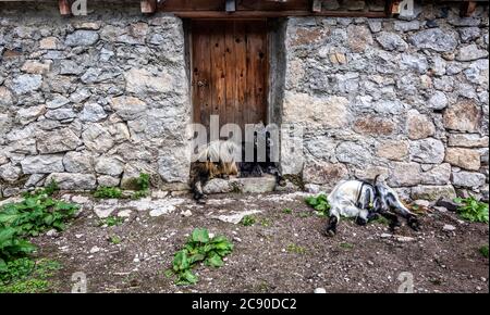 Casa in pietra e legno con meravigliosa natura del Mar Nero regione della Turchia ... Foto Stock