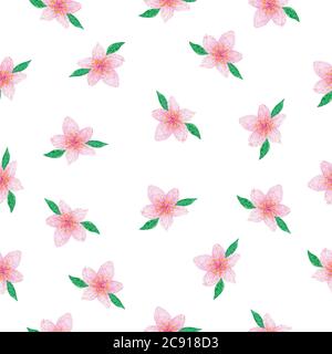 fiore di ciliegio acquerello o fiore sakura, fiori rosa piccoli motivo senza cuciture per tessuto, sfondi o confezionamento, semplice disegno floreale tessile Foto Stock