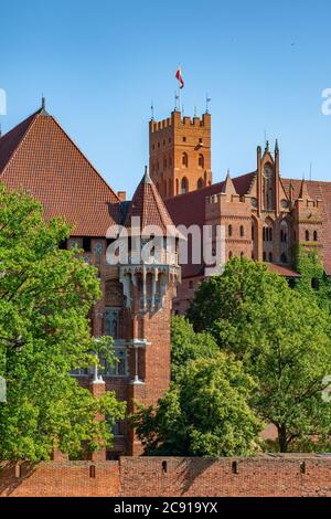Castello teutonico in Malbork o Marienburg ad estate in Polonia Foto Stock