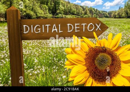 Cartello con le parole Digital Detox davanti a un prato Foto Stock