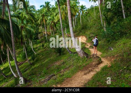 Sentiero attraverso le foreste di palme e la giungla lungo una strada fangosa per la cascata Salto de Limon situato nel centro della foresta tropicale, Samana, Domi Foto Stock