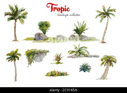 Set di palme acquerellate, pietre e piante tropicali isolate su sfondo bianco per il design paesaggistico Foto Stock