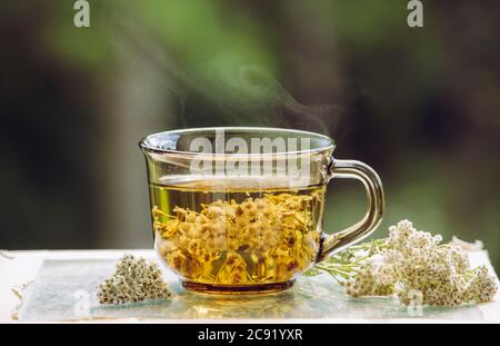 Still life of fumante Achillea millefolium, yarrow o comune yarrow tisana in vetro con tè secco in polvere e fiori freschi. Foto Stock