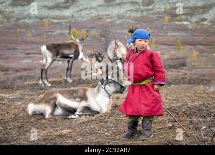 Giovane ragazzo tsaatan con renne nella Mongolia settentrionale Foto Stock