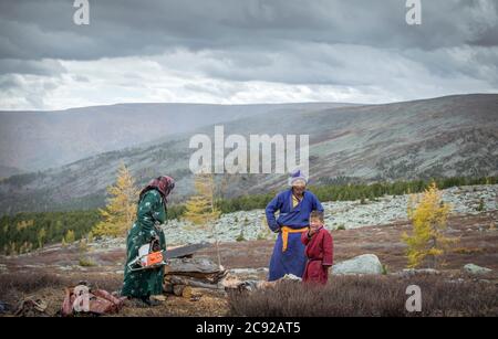 famiglia tsaatan taglio legna da ardere nella natura del nord della Mongolia Foto Stock