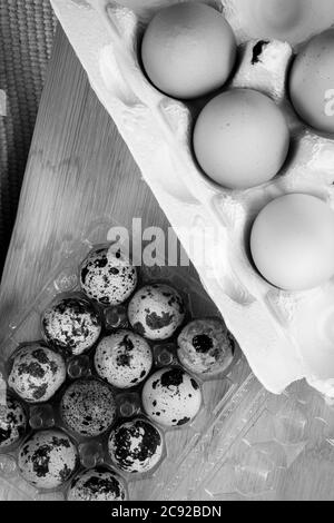 Immagine in bianco e nero di diverse uova di quaglia in una ciotola con uova native. Foto Stock