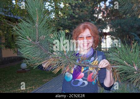 La donna matura in blusa colorata mantiene davanti a sé un ramo del pino Crimea con aghi lunghi Foto Stock