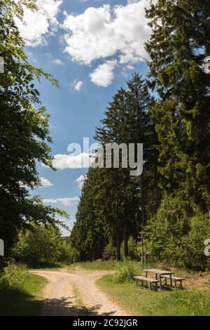 Sentiero lungo il fiume Wupper vicino a Wipperfürth Foto Stock