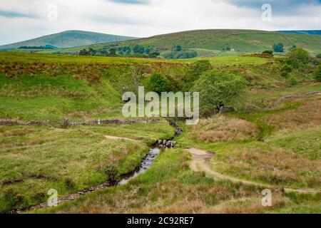 Vista verso Parlick Fell, Chipping, Preston, Lancashire, Regno Unito Foto Stock