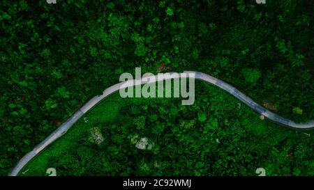 Vista aerea o drone shot della strada con l'auto attraverso la verde foresta in Asia. Foto Stock