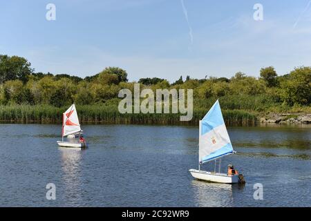 Le barche ottimiste corrono a Honfleur - Normandia - Francia Foto Stock