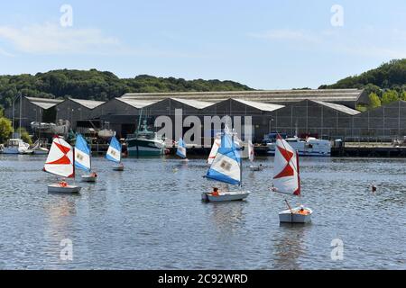 Le barche ottimiste corrono a Honfleur - Normandia - Francia Foto Stock