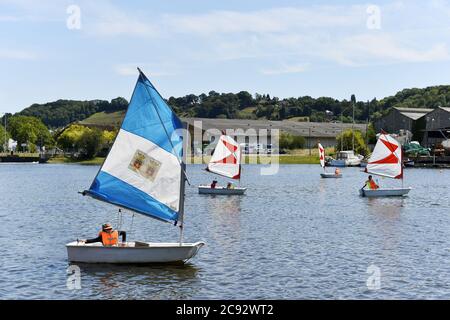 Le barche ottimiste corrono a Honfleur - Normandia - Francia Foto Stock