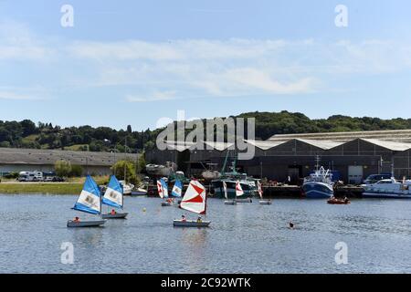 Le barche ottimiste corrono a Honfleur - Normandia - Francia Foto Stock