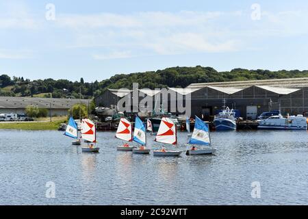 Le barche ottimiste corrono a Honfleur - Normandia - Francia Foto Stock