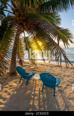 Sedie da spiaggia e palme, Grand Cayman Island Foto Stock