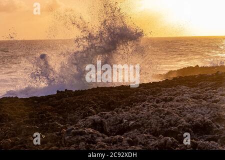 Grande onda che si schiantò contro la costa rocciosa, Grand Cayman Island Foto Stock