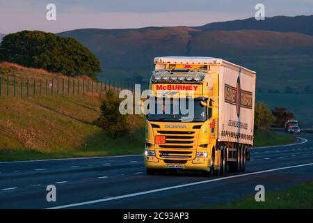 McBurney Transport Scania Truck traino di un rimorchio per la guida su un Autostrada al crepuscolo con le colline dietro nella pianura Scozia Foto Stock