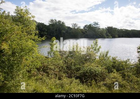 Calvert, Regno Unito. 27 luglio 2020. Vista sul lago della Riserva Naturale del Giubileo di Calvert. Il 22 luglio, il Berks, Bucks e Oxon Wildlife Trust (BBOWT) hanno riferito di essere stati informati dell'intenzione di HS2 di prendere possesso di una parte della riserva naturale del Giubileo di Calvert, Che ospita la piovra, la terna da riproduzione e alcune delle farfalle più rari del Regno Unito, il 28 luglio scorso ha intrapreso lavori di sdoganamento non specificati in relazione al collegamento ferroviario ad alta velocità. Credit: Mark Kerrison/Alamy Live News Foto Stock