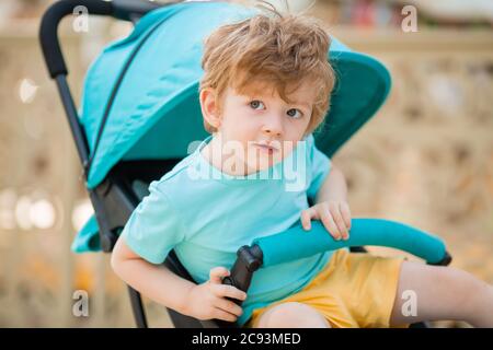 piccolo ragazzo di due anni si siede in un passeggino blu in estate. sviluppo bambino. Stile di vita per bambini Foto Stock