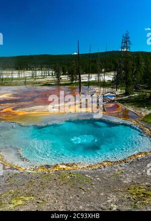 La colorata sorgente di Firehole, lungo Firehole Lake Drive nel Parco Nazionale di Yellowstone Foto Stock