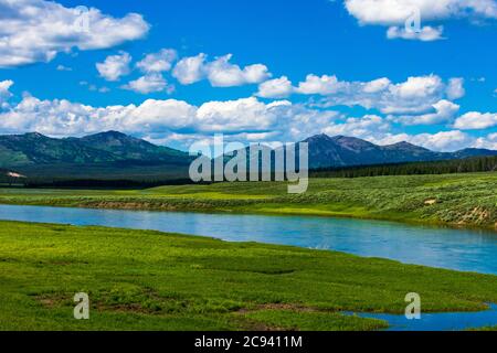 Il fiume Yellowstone attraversa Hayden Valley nel pomeriggio estivo nel parco nazionale di Yellowstone Foto Stock