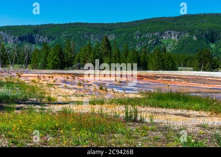 Runoff multicolore dalla piscina termale nel Parco Nazionale di Yellowstone Foto Stock