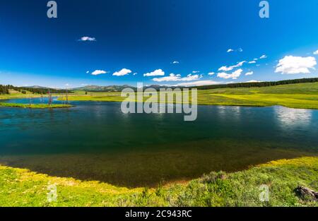 Il fiume Yellowstone attraversa Hayden Valley e il parco nazionale di Yellowstone Foto Stock