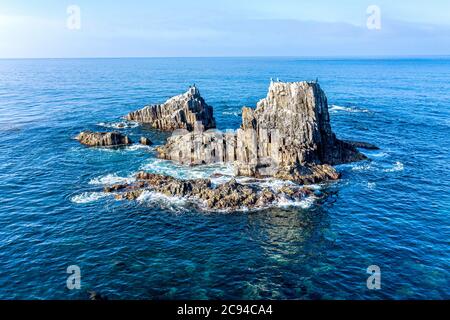 Un'immagine aerea di droni delle famose rocce di foche a Laguna Beach è un luogo di immersioni subacquee preferito e sede di molti leoni marini. Foto Stock