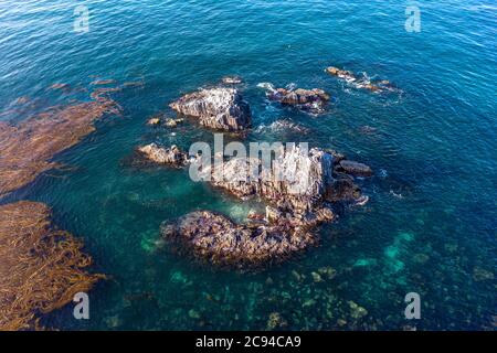 Un'immagine aerea di droni delle famose rocce di foche a Laguna Beach è un luogo di immersioni subacquee preferito e sede di molti leoni marini. Foto Stock