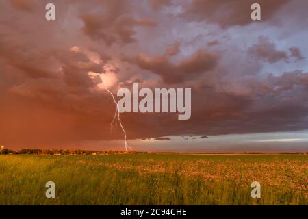 Al tramonto, una grande tempesta di polvere soffia su un campo e una piccola città, gettando una vivace tonalità arancione profonda attraverso l'orizzonte e colmando con un grande ligo Foto Stock