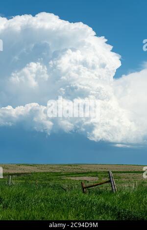 Panorama di un massiccio sistema di tempesta, che è una fase pre-tornado, passa su una parte erbosa delle pianure grandi mentre cercava ferocemente di generare di più Foto Stock