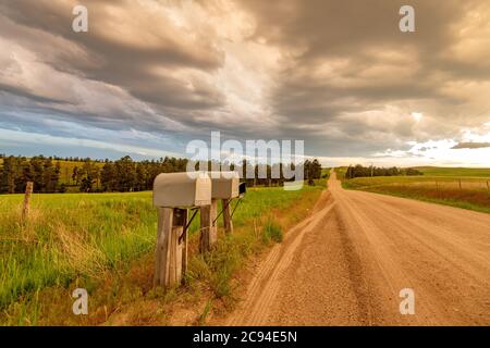 Immagine di una classica strada sterrata nel Midwest con una prospettiva della strada che porta al nulla e caselle postali accanto a sidirade. Foto Stock