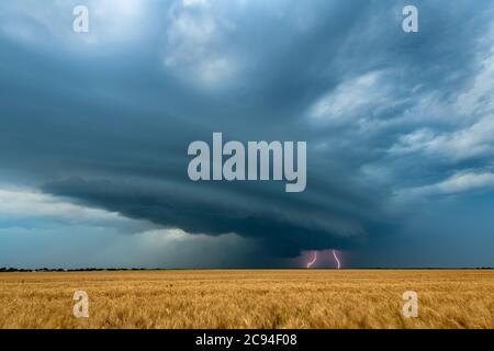 Una supercella meteorologica mesociclone, che è una fase pre-tornado, passa sopra le grandi pianure mentre la pioggia versante e fulmini cracking evidenziare l'ho Foto Stock