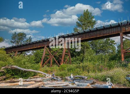 Rusty Trestle Bridge su Driftwood Foto Stock