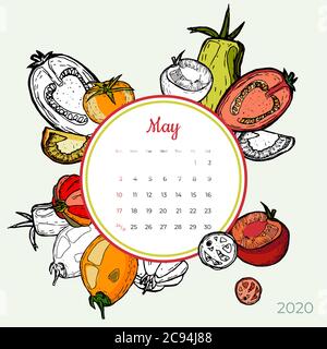 2020 maggio calendario vegetale. Pomodori rossi alimentari art vettore set. Scrivania, schermo, modello di calendario 2020 colorato. Illustrazione Vettoriale