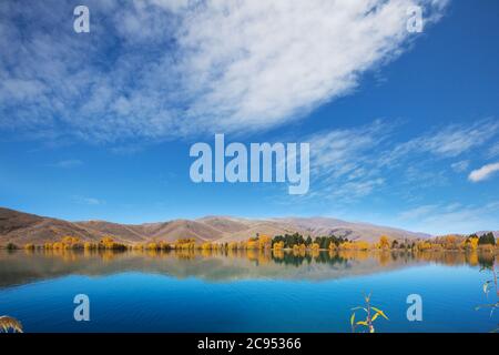 Stagione autunnale in Nuova Zelanda Foto Stock