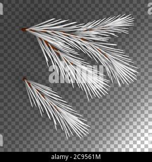 Ramo di albero di abete Illustrazione Vettoriale