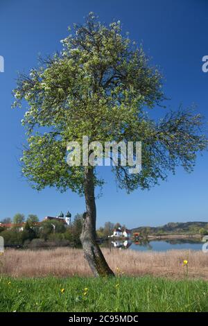 Geografia / viaggio, Germania, Baviera, Seeon-Seebruck, Monastero di Seeon, nel Klostersee (lago), Chie, Additional-Rights-Clearance-Info-non-disponibile Foto Stock