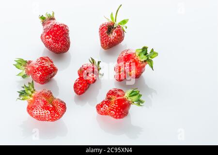 Fragole rosse bruttamente luminose con riflessi su sfondo bianco lucido. Foto Stock