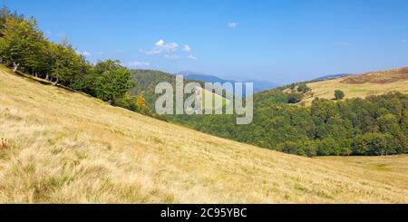 prato erboso in montagna. bellissimo paesaggio di transcarpazia in una giornata estiva soleggiata. cresta in lontananza. faggi sulle colline. cielo blu Foto Stock