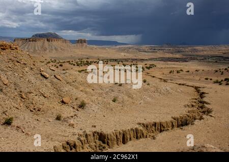 Arroyo e Mesa lontana in un paesaggio desertico durante una tempesta di pioggia nella stagione monsone nella Chamisa Wilderness Study Area New Mexico, USA Foto Stock